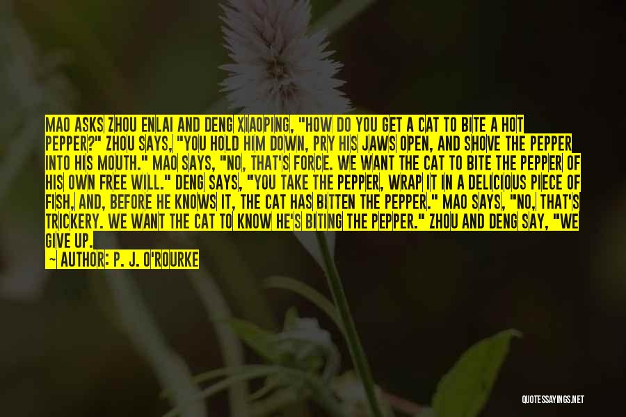 Deng Quotes By P. J. O'Rourke