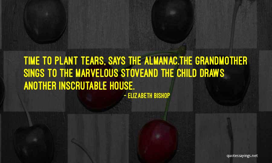 Dengrass Quotes By Elizabeth Bishop Dengrass Quotes By Elizabeth Bishop