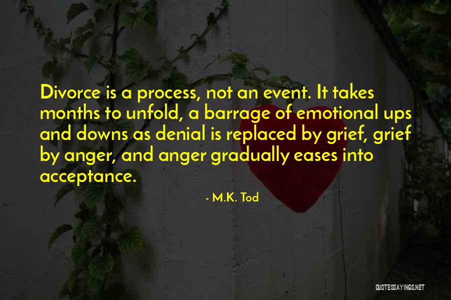 Denial In Grief Quotes By M.K. Tod Denial In Grief Quotes By M.K. Tod