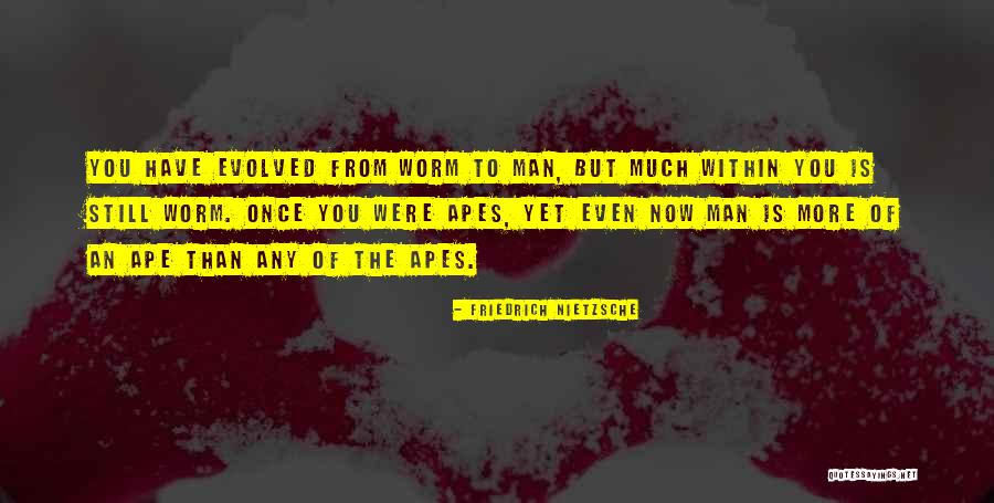 Denigrates Pronounce Quotes By Friedrich Nietzsche Denigrates Pronounce Quotes By Friedrich Nietzsche