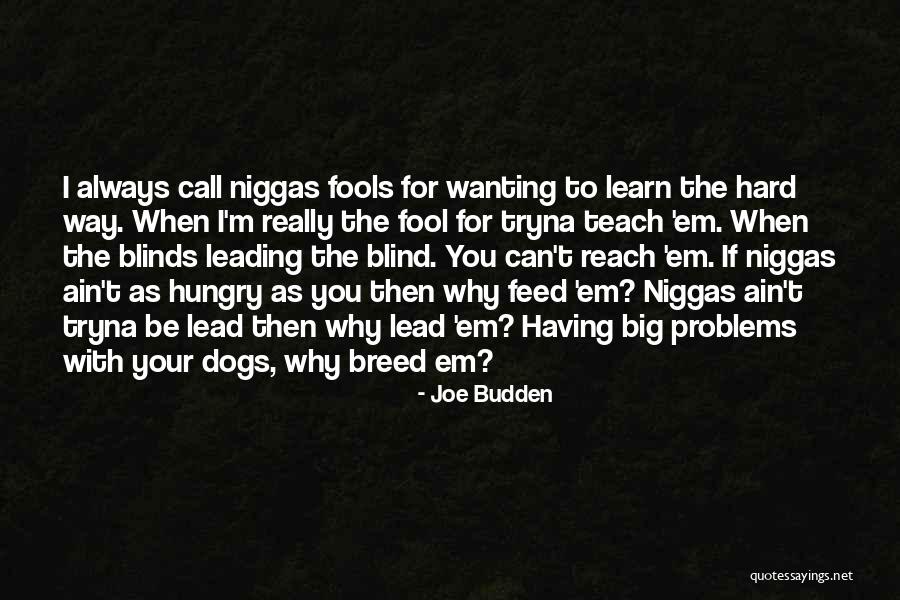 Denika Bedrossian Quotes By Joe Budden Denika Bedrossian Quotes By Joe Budden