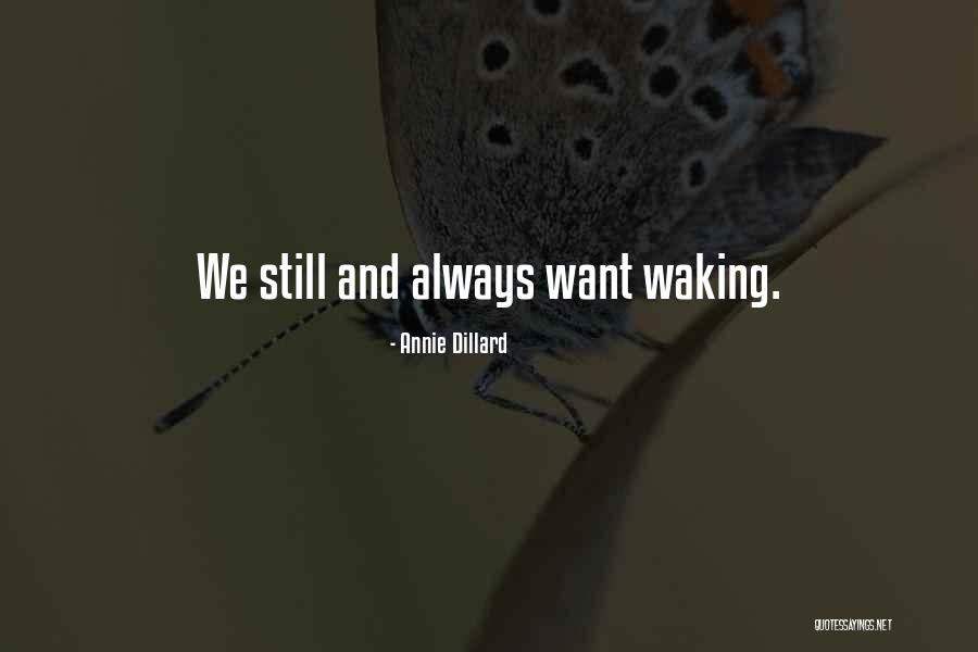 Denipah Larance Quotes By Annie Dillard Denipah Larance Quotes By Annie Dillard