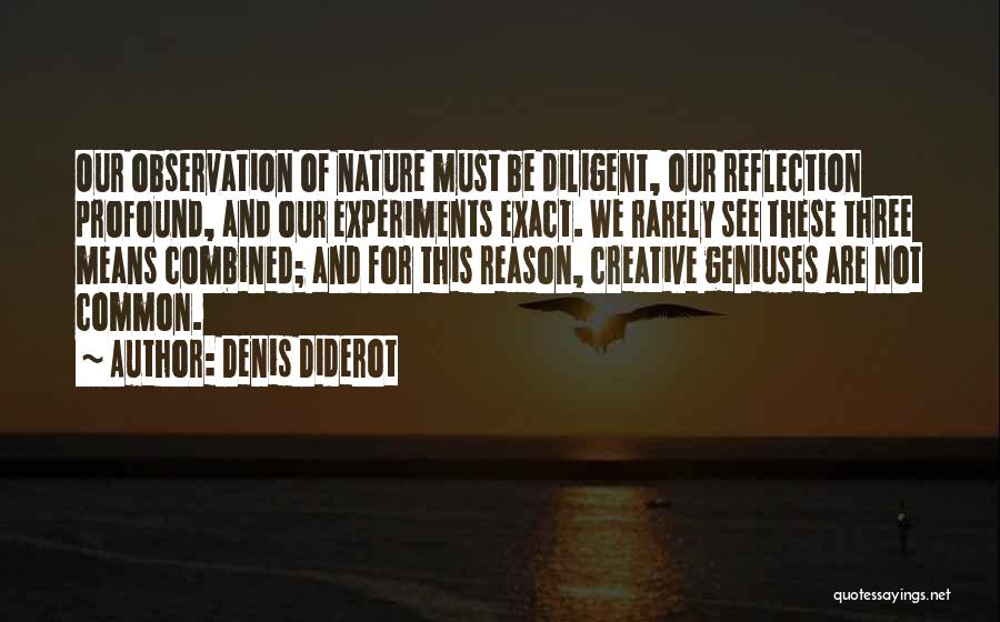 Denis Diderot Quotes 1730856