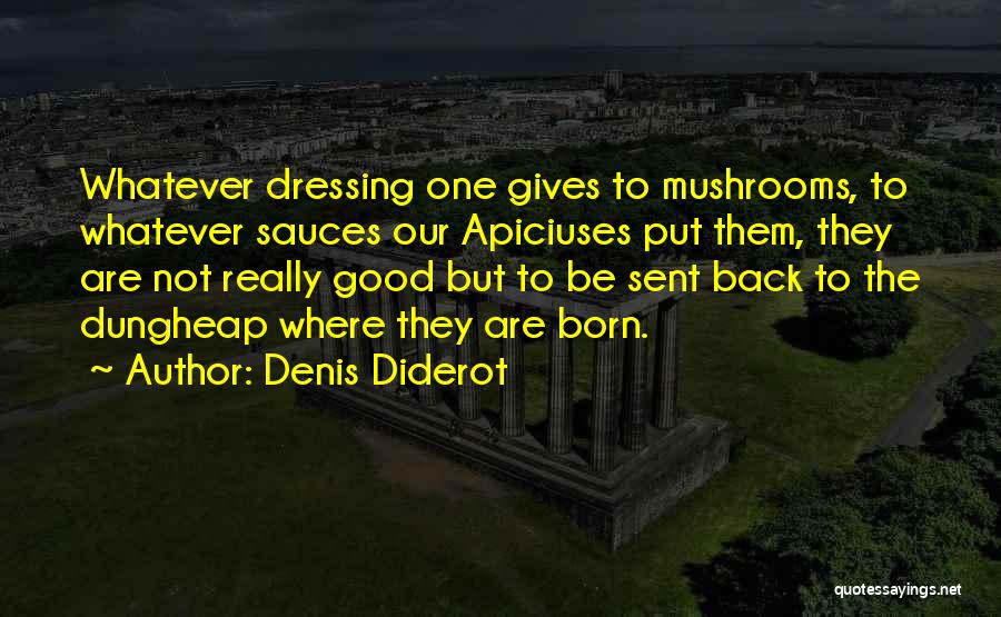 Denis Diderot Quotes 289383