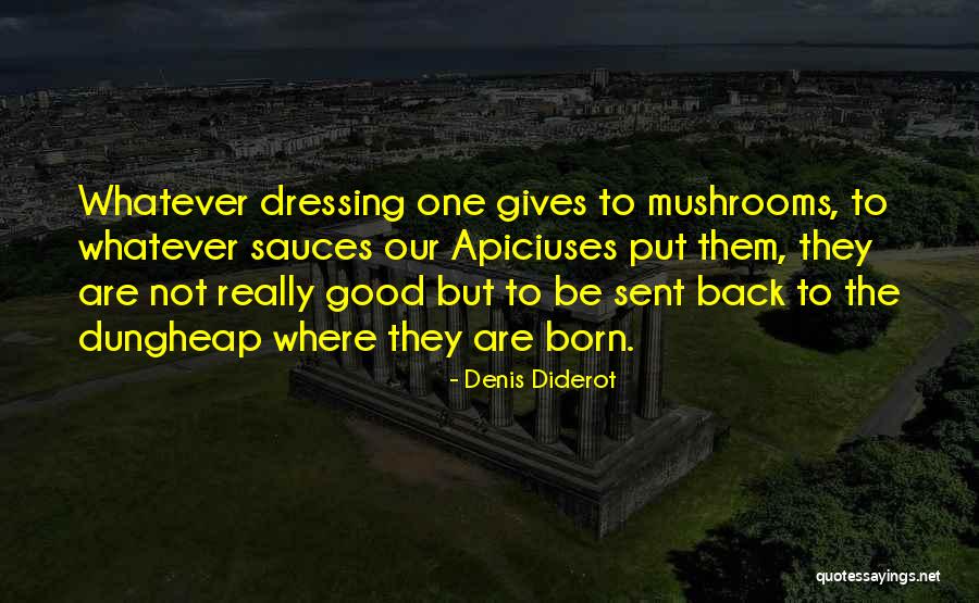 Denis Diderot Quotes 289383 Denis Diderot Quotes 289383