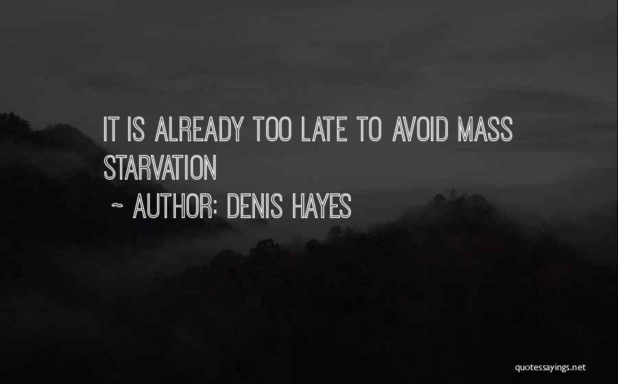 Denis Hayes Quotes 1172448