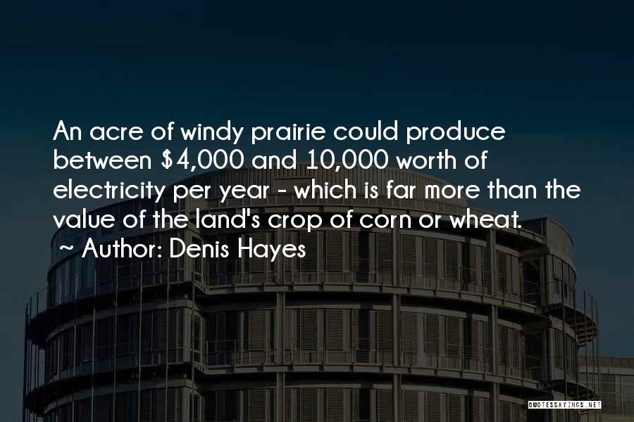 Denis Hayes Quotes 1348562