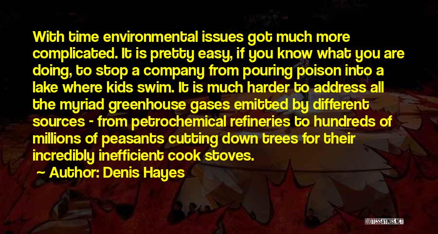 Denis Hayes Quotes 1559807