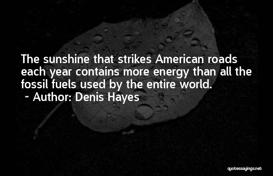 Denis Hayes Quotes 1698442