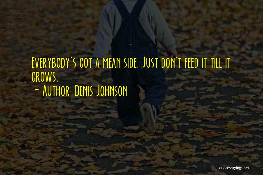 Denis Johnson Quotes 1146819