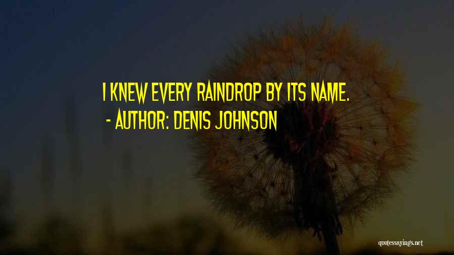 Denis Johnson Quotes 1551013