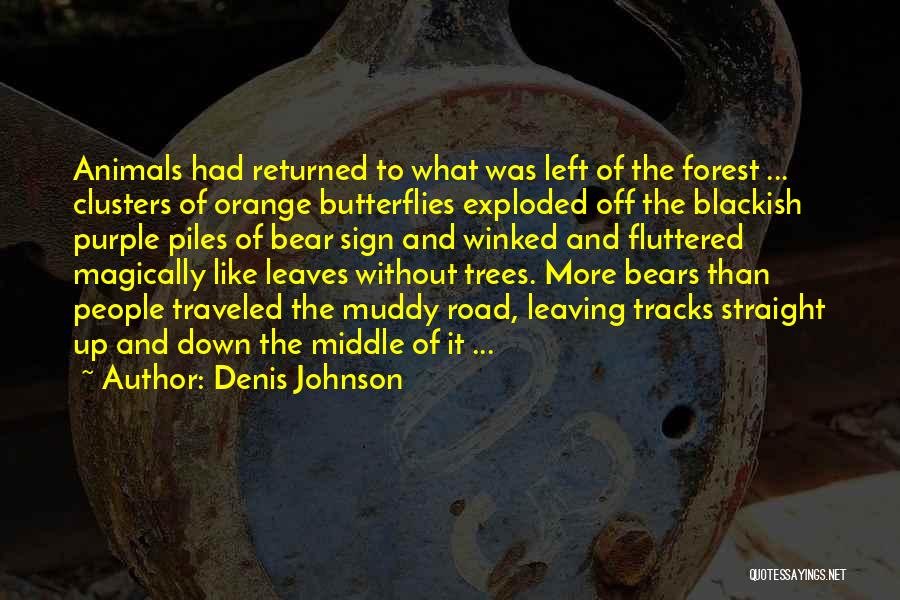 Denis Johnson Quotes 1855585