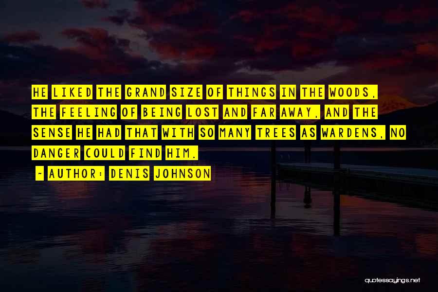 Denis Johnson Quotes 2173833