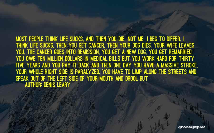 Denis Leary Quotes 2177502