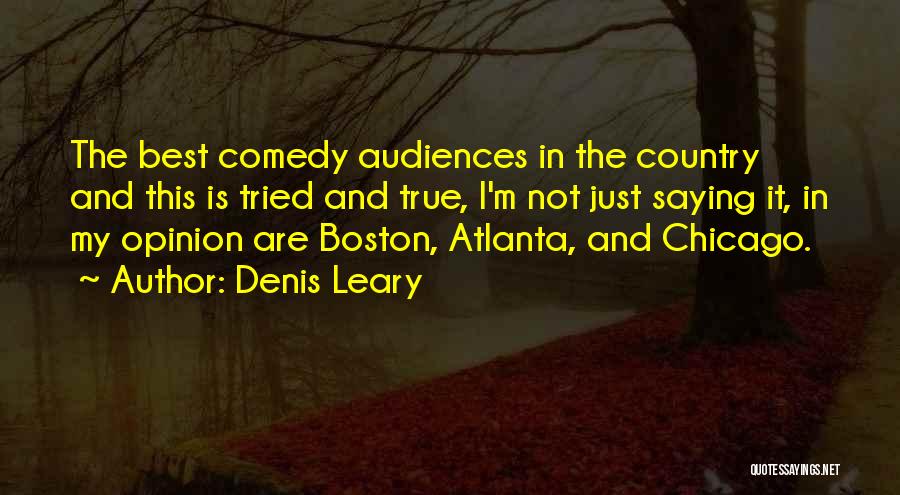 Denis Leary Quotes 2203910