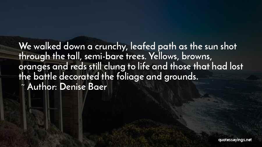 Denise Baer Quotes 1702094