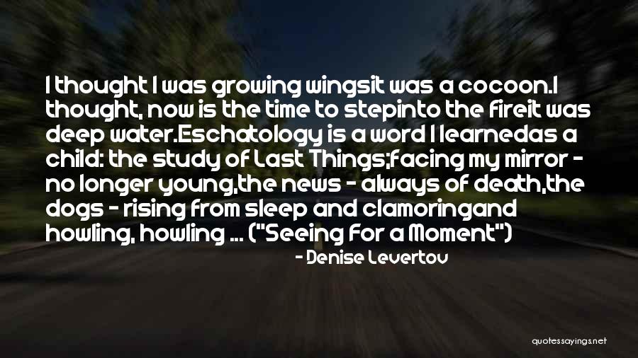 Denise Levertov Quotes 105444