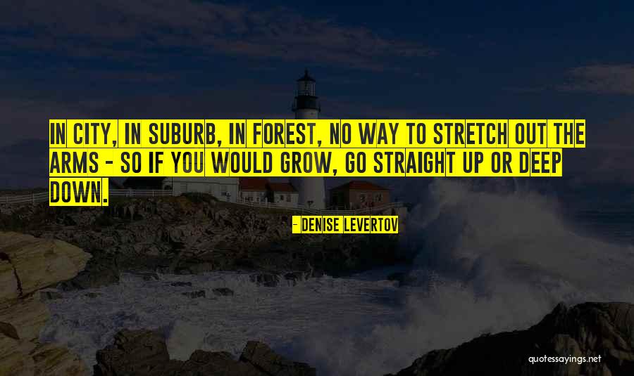 Denise Levertov Quotes 1093387 Denise Levertov Quotes 1093387