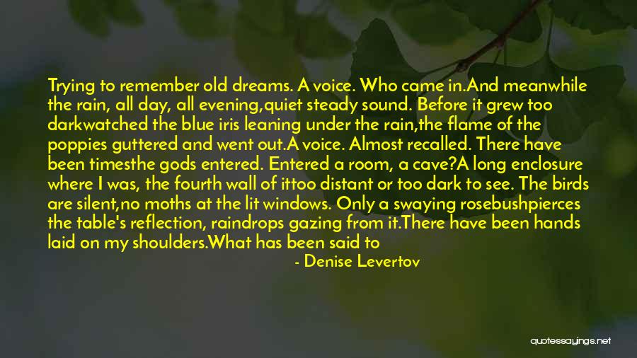 Denise Levertov Quotes 1429729