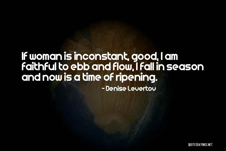 Denise Levertov Quotes 1579838