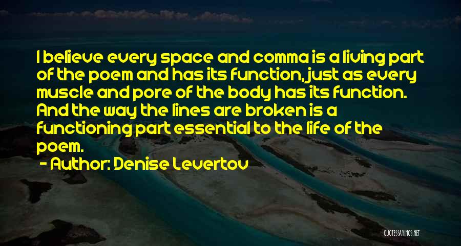 Denise Levertov Quotes 1611985