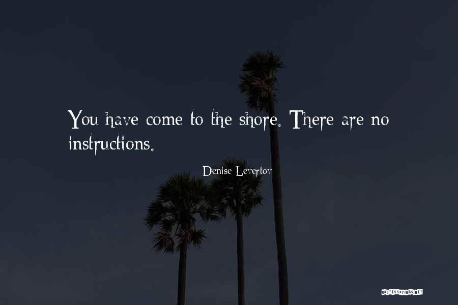 Denise Levertov Quotes 178270 Denise Levertov Quotes 178270