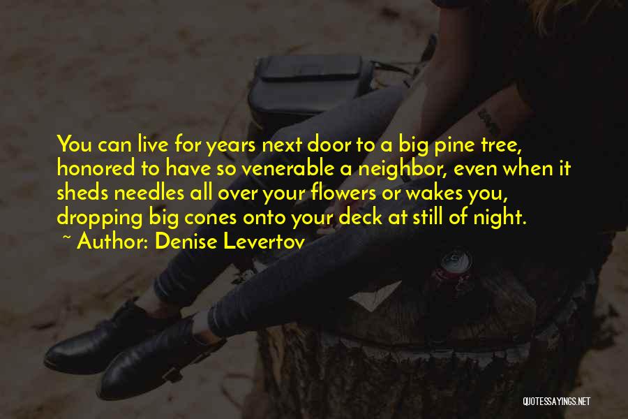 Denise Levertov Quotes 1894917