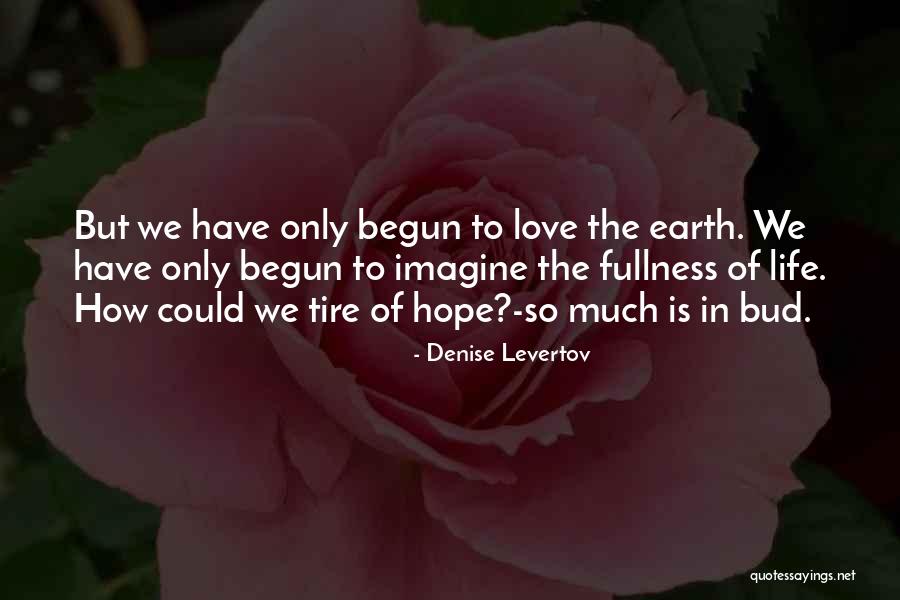 Denise Levertov Quotes 2215928