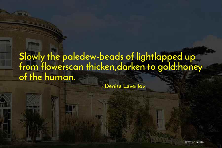 Denise Levertov Quotes 2261567