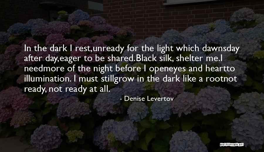 Denise Levertov Quotes 556432