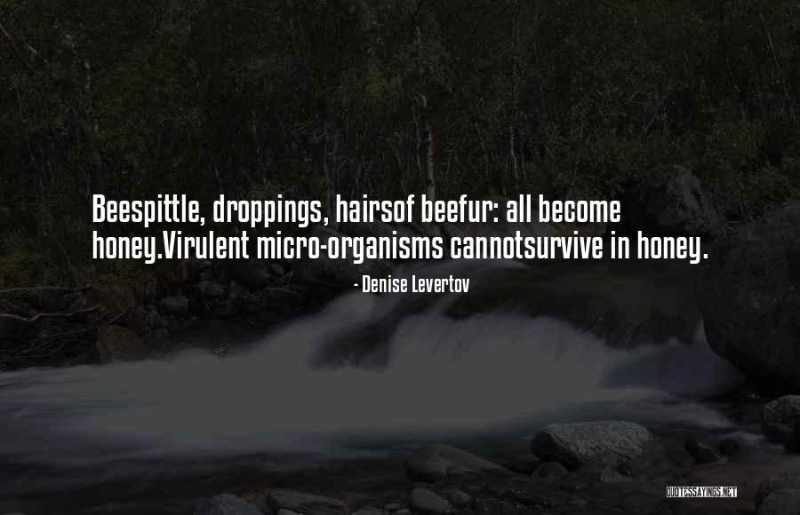 Denise Levertov Quotes 775254 Denise Levertov Quotes 775254