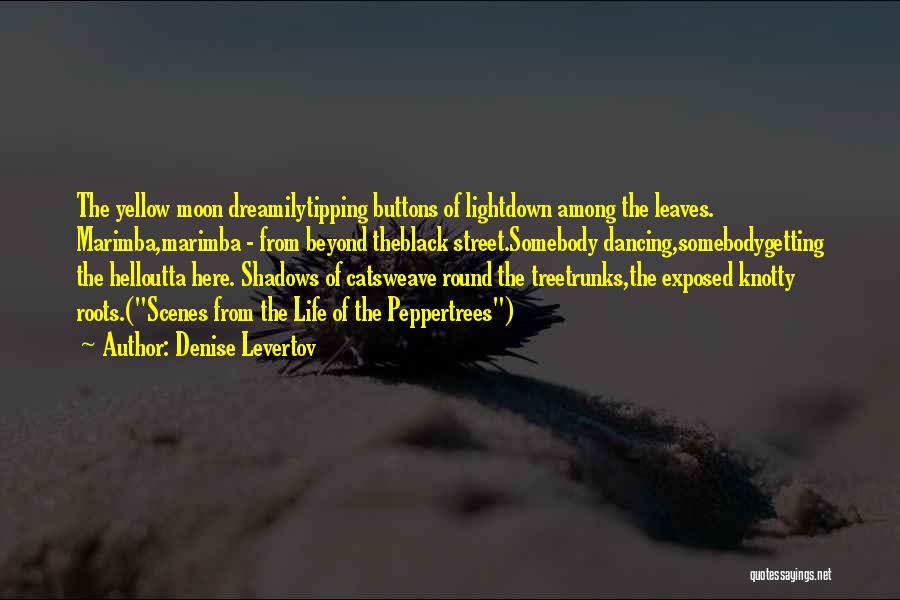 Denise Levertov Quotes 879447