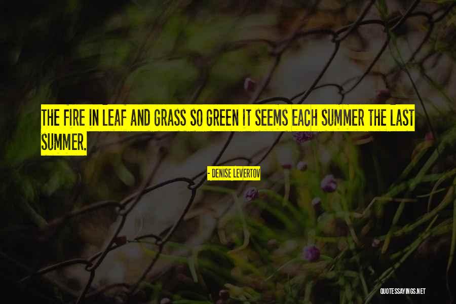 Denise Levertov Quotes 899003 Denise Levertov Quotes 899003