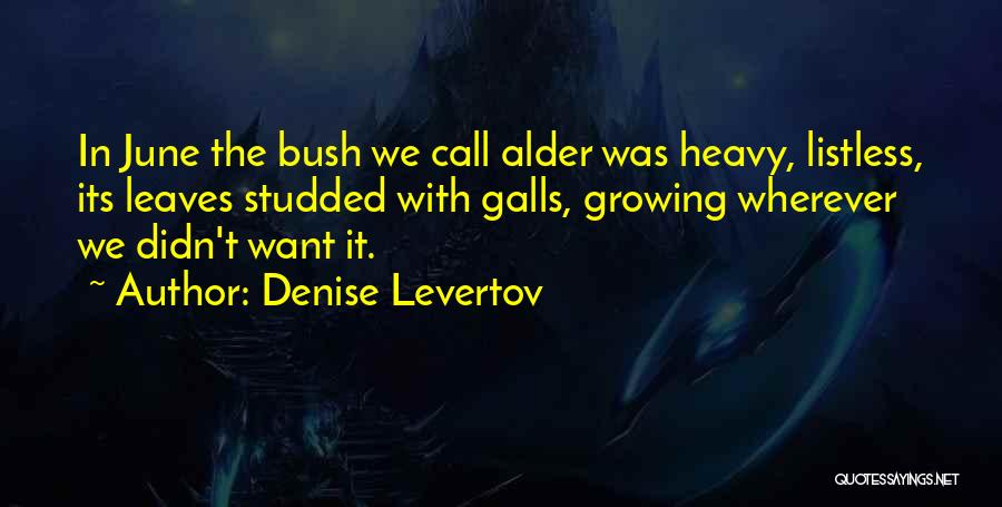 Denise Levertov Quotes 937691