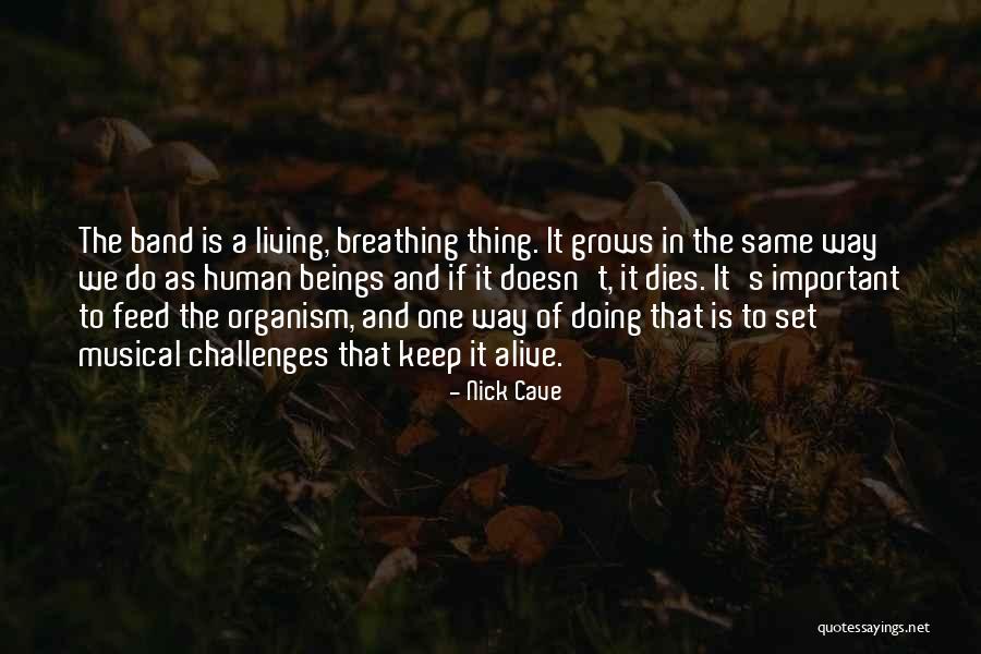Denise Uyehara Quotes By Nick Cave Denise Uyehara Quotes By Nick Cave