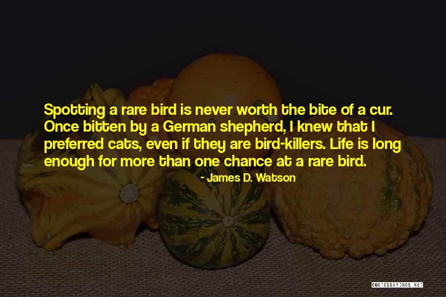Denissa Roman Quotes By James D. Watson Denissa Roman Quotes By James D. Watson