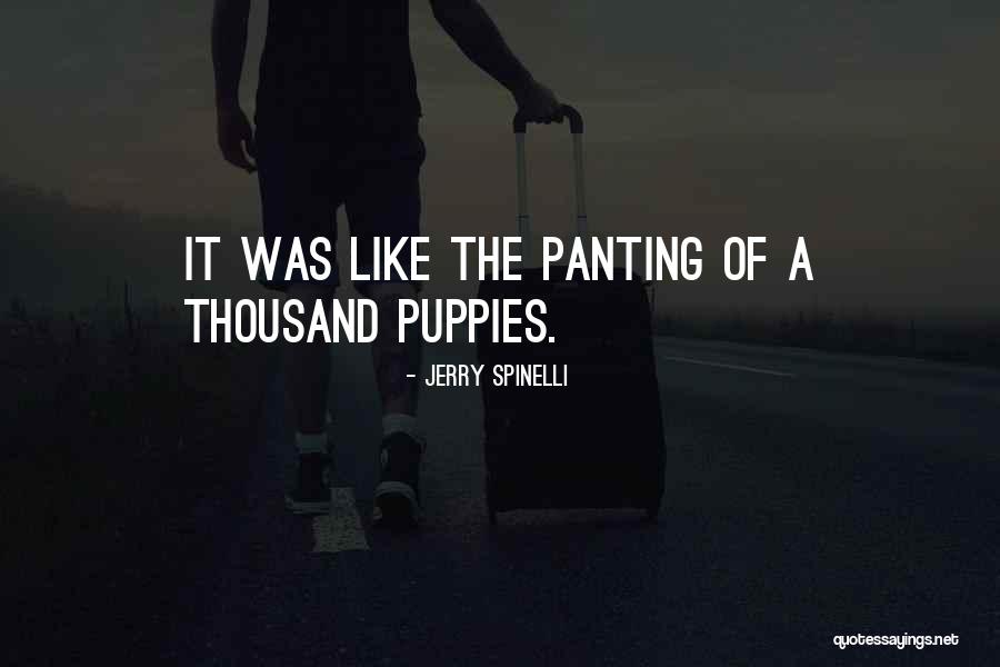 Denizden Gelen Quotes By Jerry Spinelli Denizden Gelen Quotes By Jerry Spinelli
