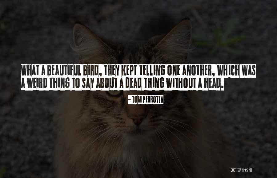 Denk Positief Quotes By Tom Perrotta Denk Positief Quotes By Tom Perrotta