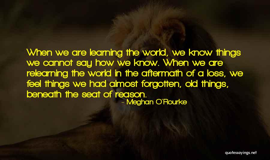 Denkinger 1985 Quotes By Meghan O'Rourke Denkinger 1985 Quotes By Meghan O'Rourke