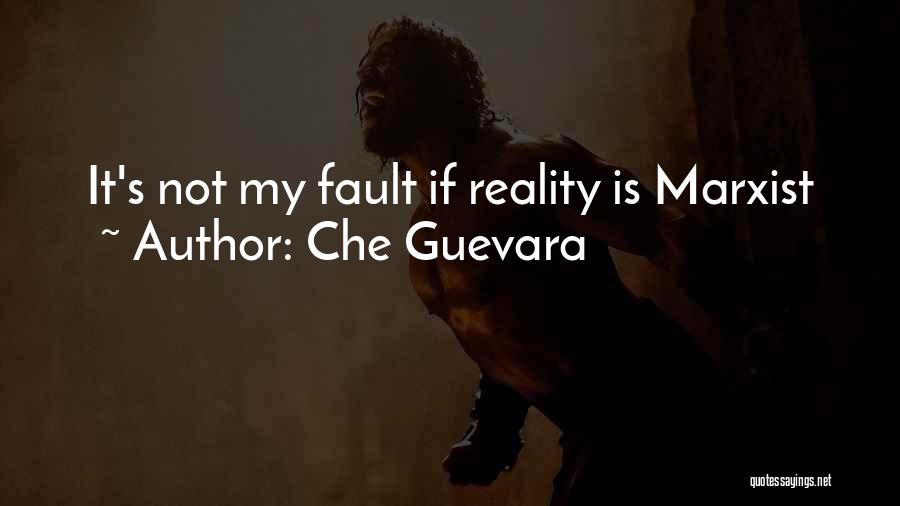 Denkstijlen Quotes By Che Guevara