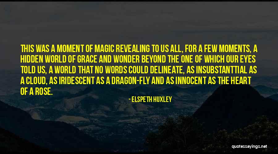 Dennette Walter Quotes By Elspeth Huxley Dennette Walter Quotes By Elspeth Huxley