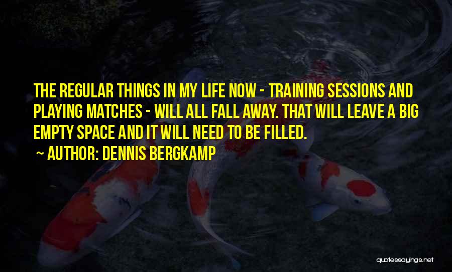 Dennis Bergkamp Quotes 2197049