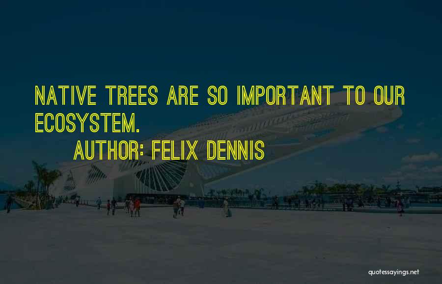 Dennis Felix Quotes By Felix Dennis