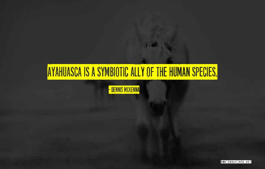 Dennis McKenna Quotes 728364 Dennis McKenna Quotes 728364