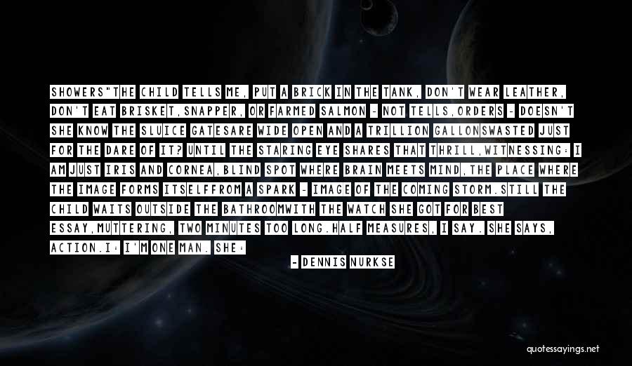 Dennis Nurkse Quotes 1138601 Dennis Nurkse Quotes 1138601