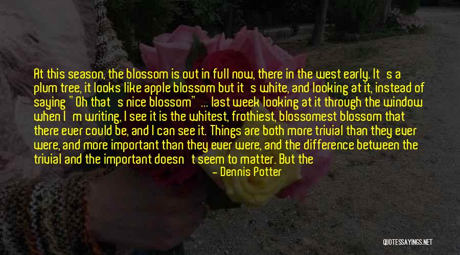 Dennis Potter Quotes 792718 Dennis Potter Quotes 792718