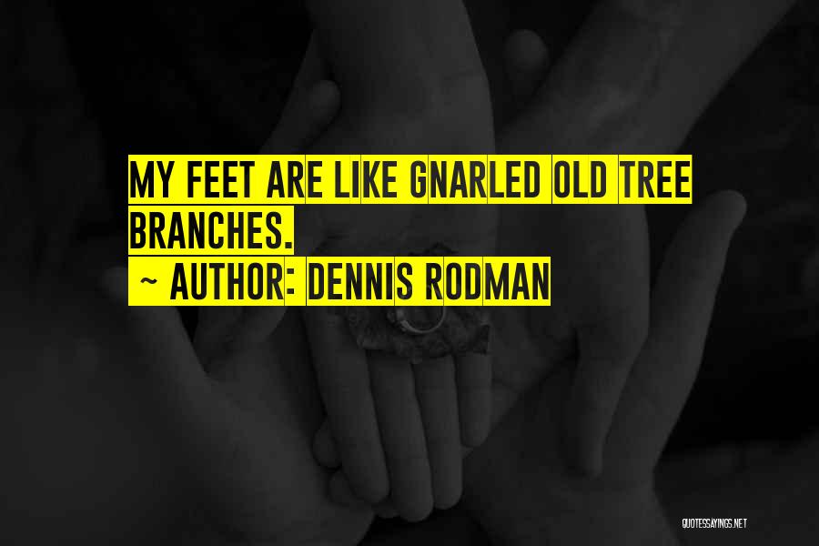 Dennis Rodman Quotes 1724432