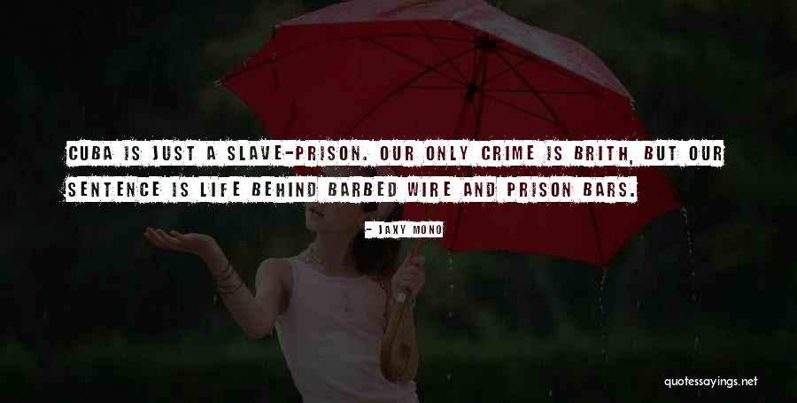 Dennmar Quotes By Jaxy Mono Dennmar Quotes By Jaxy Mono
