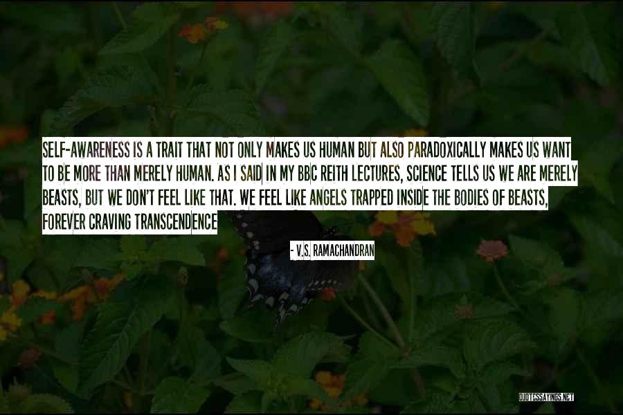 Denny Kenaston Quotes By V.S. Ramachandran Denny Kenaston Quotes By V.S. Ramachandran