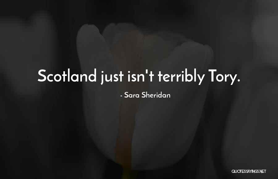 Denouncements Define Quotes By Sara Sheridan Denouncements Define Quotes By Sara Sheridan